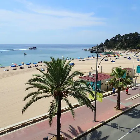 Sant Jordi Plaza Espana Lloret de Mar